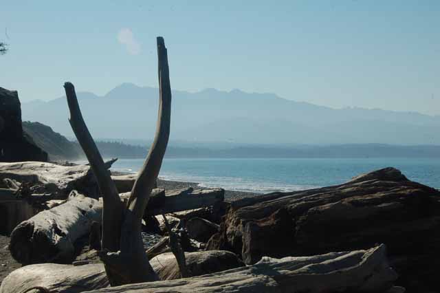 the Dungeness Spit